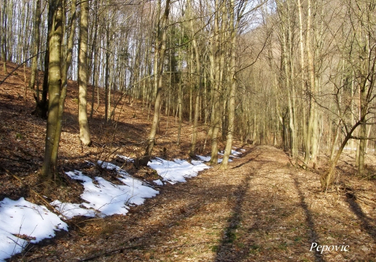 zjarievanie