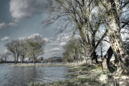 zjarievanie