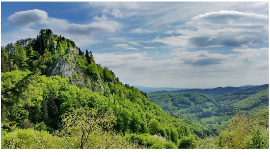 Vršatec