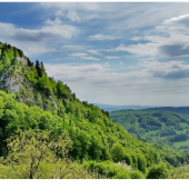 Vršatec