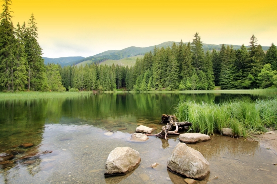 vrbické pleso
