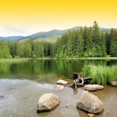vrbické pleso
