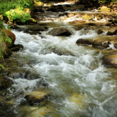 demänovka