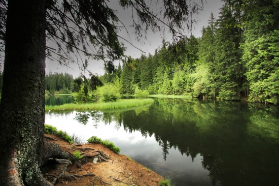 vrbické pleso