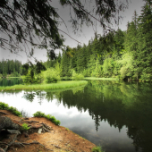 vrbické pleso