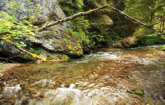 Demänovská dolina