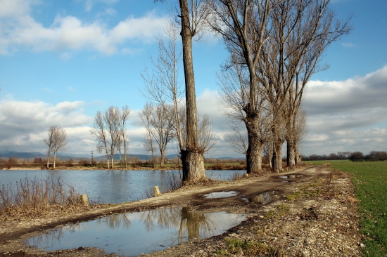 žeby, zjarievanie