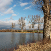 ranná potulka