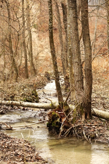 ..jarný meander..