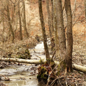 ..jarný meander..