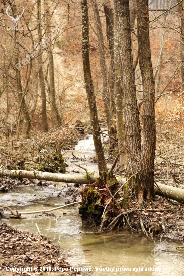 ..jarný meander..
