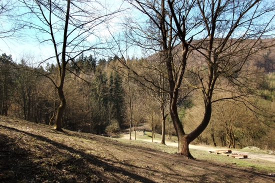 ranné pohľady