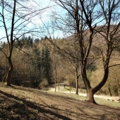 ranné pohľady