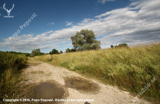 slnečné popoludnie