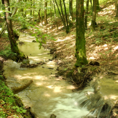 zastavenie pri bystrinke