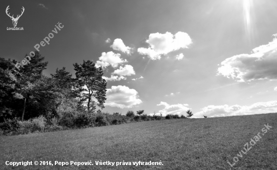 na horizonte