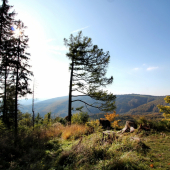 Biele Karpaty