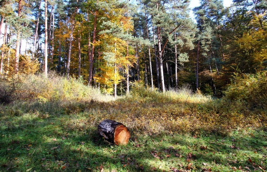 odkotúlaný