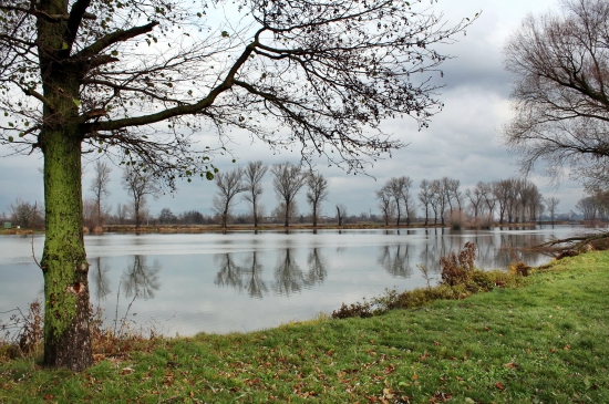 ranná novembrová