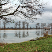 ranná novembrová