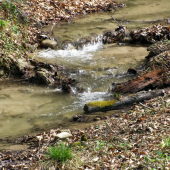 hoská bystrina