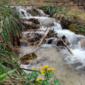 horská bystrina