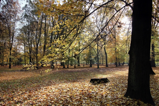 zjesenievanie