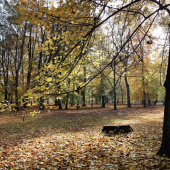 zjesenievanie