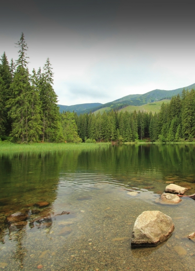 Pleso