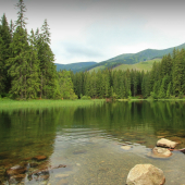 Pleso