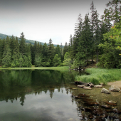 Vrbické pleso