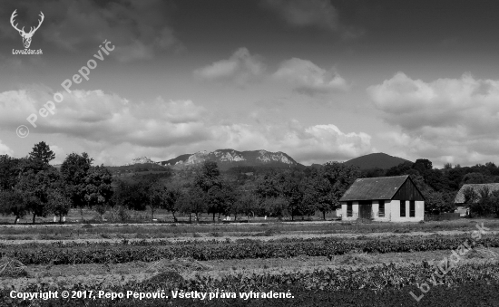 Pohľad na Biele Karpaty