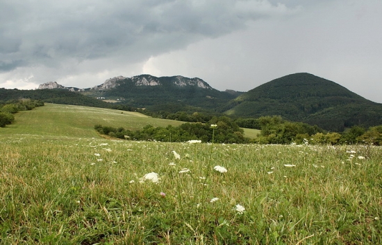 Vršatec