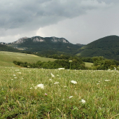 Vršatec