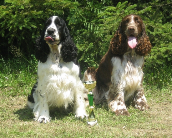 Špeciálna výstava poľovných sliedičov - Sielnica