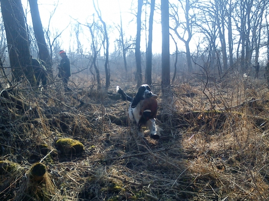 Nerík - poľovačka Palárikovo