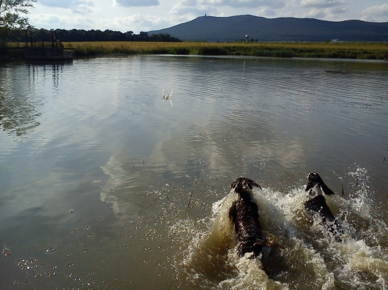 A ide sa pre aport :-)