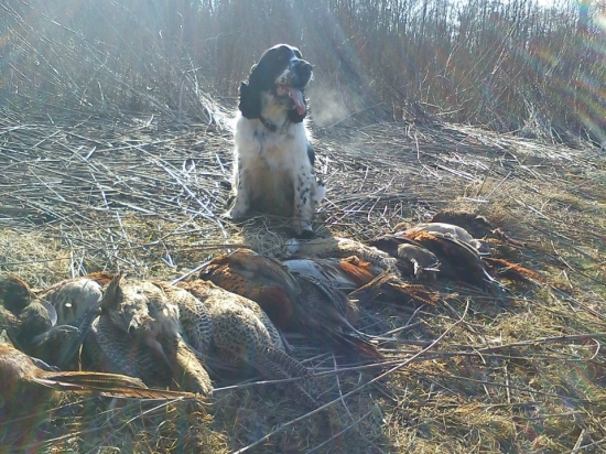 Nero a jeho aporty z jedného pohonu :-)