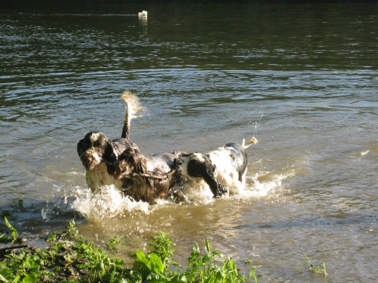 letné šantenie na vode:-)