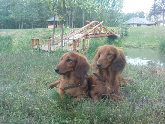 Farbiarske skúšky duričov