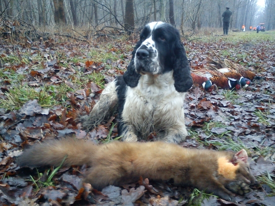 Dnešný úlovok :-)