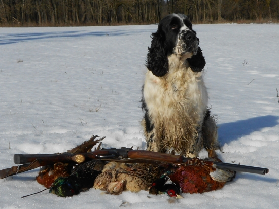 Nerík a môj úlovok