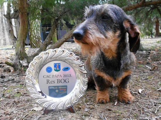 Rommy FA-DY - úspech v Maďarsku