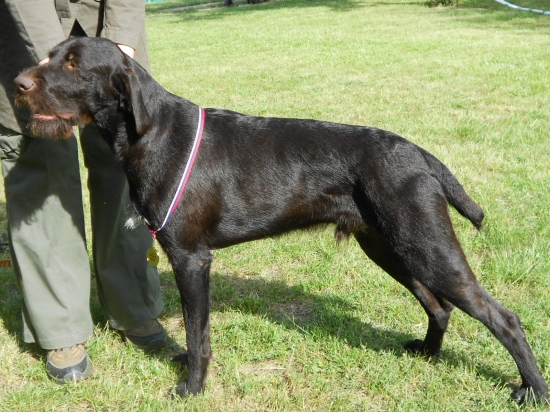 Greg a trojdňový maratón výstav