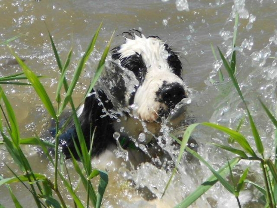 Aisha - prvé plávanie