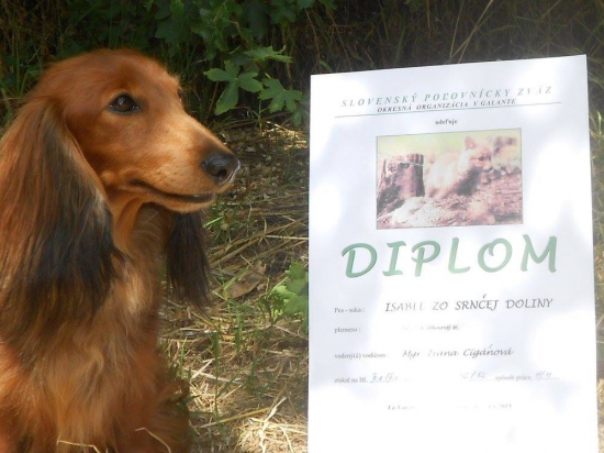 Brlohárske skúšky