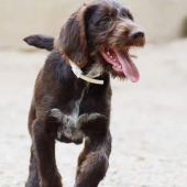 QUENTI alias Nela :-)