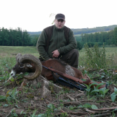 Zlaty muflon