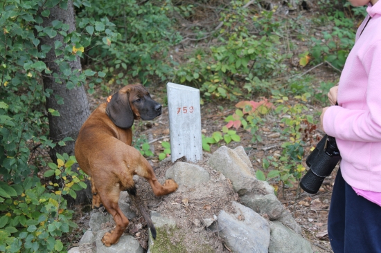 AXA Z revíru Radhošť