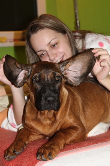 AXA Z revíru Radhošť